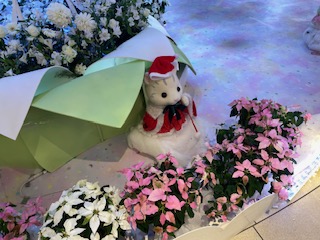 ܂((((((֥)o((֥))o(֥)))))))!!!!
