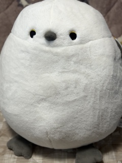 �����O�����c���������C���{�[�ɂ�����