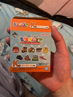 2�L�������Ă��I�����I