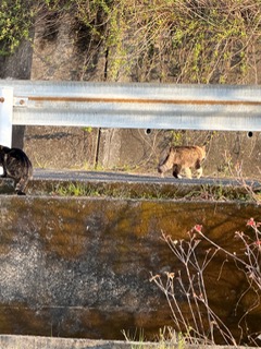 �����܂�((((((����֥)��o((��֥))o��(��֥��)))))))��!!!!